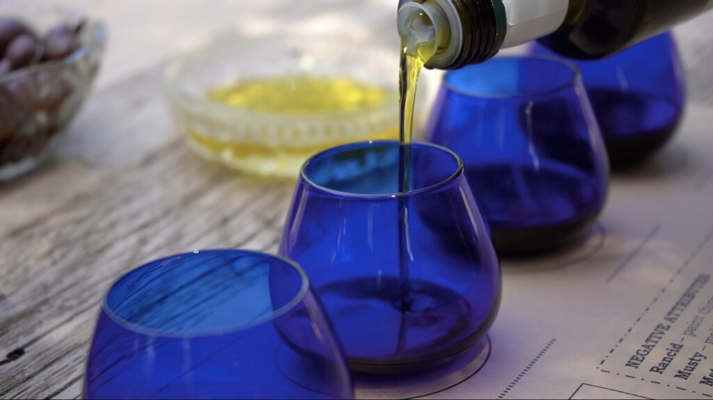 olive oil tasting in kritsa crete